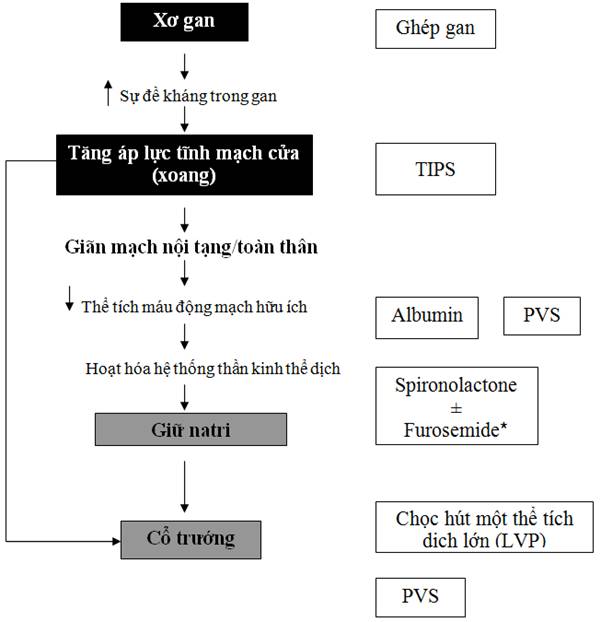 4. Phương pháp cải thiện sức khỏe gan